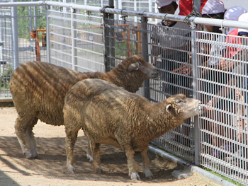 天王寺動物園