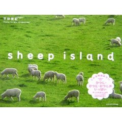 「sheep island」