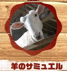 羊のサミュエル