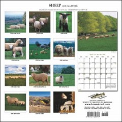 Sheep 2008 Calendar うら