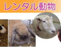 那須どうぶつ王国　レンタル動物