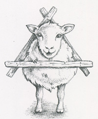 ヨークをつけた羊