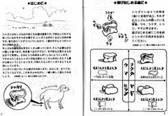 シャガイの遊び方