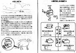 シャガイの遊び方