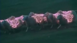 Extream Sheep LED Art