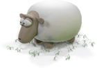 sheepie